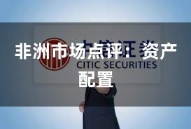 非洲市场点评：资产配置