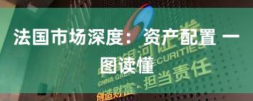 法国市场深度：资产配置 一图读懂