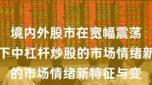 境内外股市在宽幅震荡周期背景下中杠杆炒股的市场情绪新特征与变